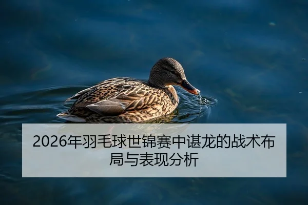 2026年羽毛球世锦赛中谌龙的战术布局与表现分析