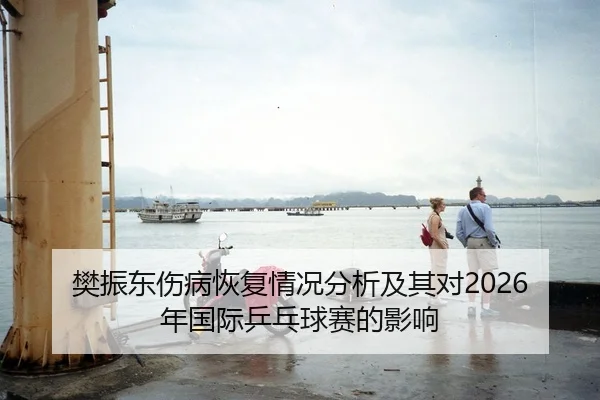 樊振东伤病恢复情况分析及其对2026年国际乒乓球赛的影响