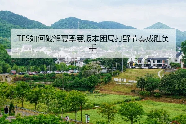 TES如何破解夏季赛版本困局打野节奏成胜负手