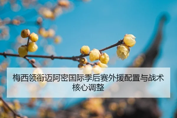 mei-xi-ling-xian-mai-a-mi-guo-ji-ji-hou-sai-wai-yuan-pei-zhi-yu-zhan-shu-he-xin-tiao-zheng-2-316.jpg