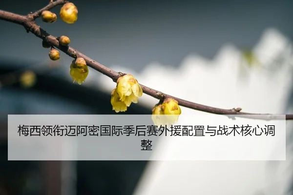 mei-xi-ling-xian-mai-a-mi-guo-ji-ji-hou-sai-wai-yuan-pei-zhi-yu-zhan-shu-he-xin-tiao-zheng-3-959.jpg