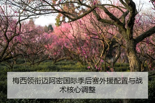 梅西领衔迈阿密国际季后赛外援配置与战术核心调整